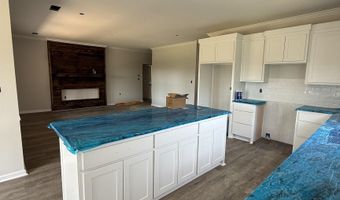 507 Madeleine Cir, Austin, AR 72007