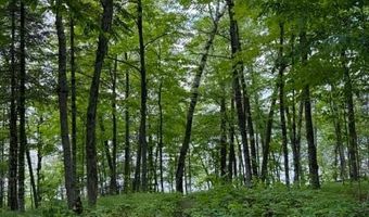 33775 Mcneil Rd, Aitkin, MN 56431