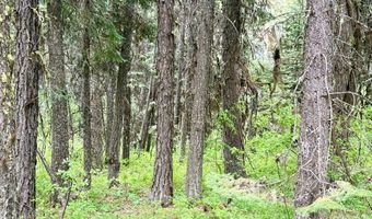 518 Susan Rd Lot 39, Cascade, ID 83611