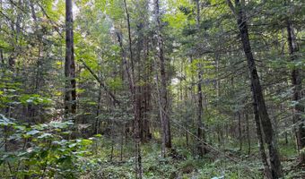 County Road Y, Aniwa, WI 54408