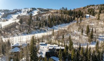 386 Pfister Dr, Aspen, CO 81611