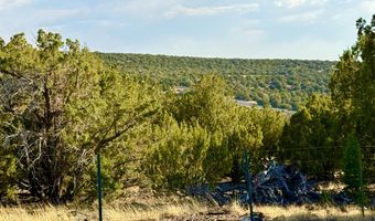 37 Co Rd N8174 10.1 Acres, Concho, AZ 85924