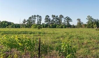 HENRY WHITE Road lot Js3a1, Albany, LA 70711