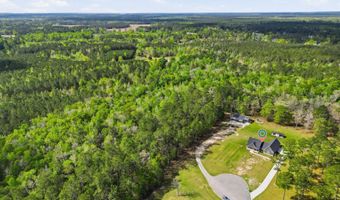 410 Miracle Ct, Andrews, SC 29510