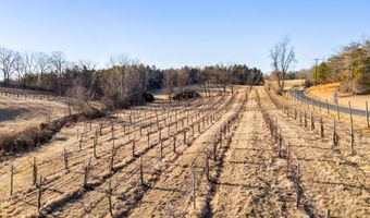 4500 WINERY Ln, Barboursville, VA 22923