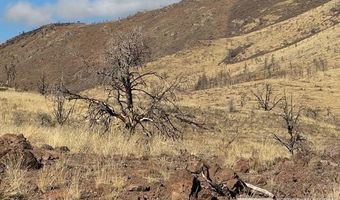 Hwy 395 6 lot 6, Gardnerville, NV 89410