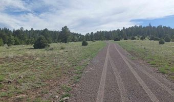 01195 Rito Hondo Rd, Antonito, CO 81120