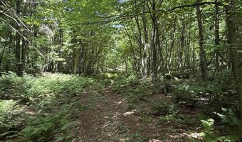 392 Sicard Rd, Brookfield, VT 05036