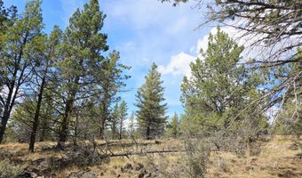 Canvasback Drive 32, Bonanza, OR 97623