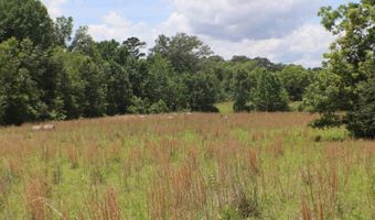 Vine Drive, Brandon, MS 39047