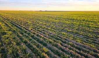 TBD Shumaker Rd, Bennett, CO 80102