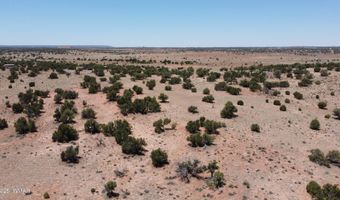Tbd Rio Ranch, Concho, AZ 85924