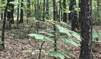 LAKESIDE LANE lot 23, Alpine, AL 35014