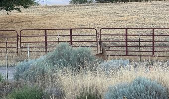 14935 S 1800 W, Bluffdale, UT 84065