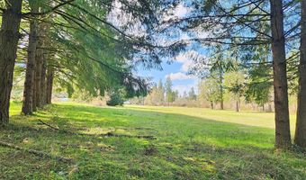 E HUNTER RD 400E, Veneta, OR 97487