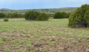 85 CR 8128 Lots 100 101 & 108, Concho, AZ 85924