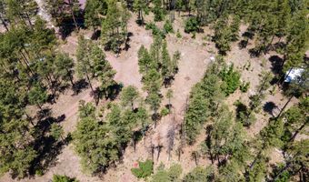 13 County Road N 2122, Alpine, AZ 85920