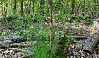 0 County Road 224, Alton, MO 65606
