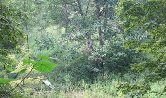 43 Sanctuary Ln, Alderson, WV 24910