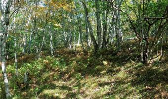 Tbd Arnett Road, Banner Elk, NC 28604