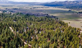 Tbd Gamann Dr, Cascade, ID 83611