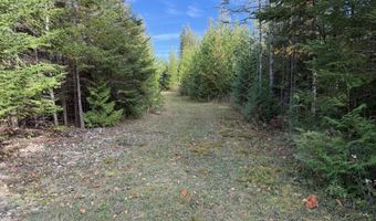 9415 Wreck Rd, Alpena, MI 49707