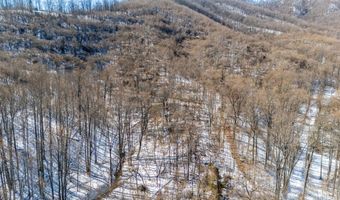 Lavender Ln, Amherst, VA 24521