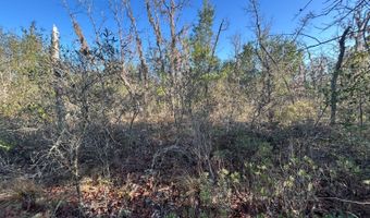NW Lake McKenzie Rd, Altha, FL 32421