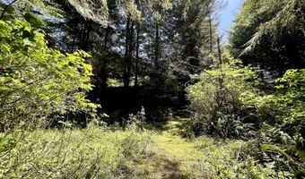 95629 CAPE FERRELO Rd, Brookings, OR 97415