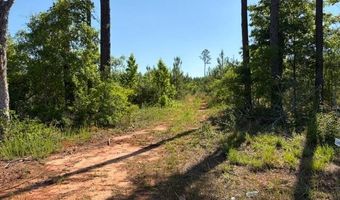 004 Rose Hill Rd 004, Andalusia, AL 36028