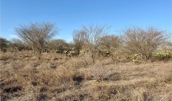CR 119 lot 0, Alice, TX 78332