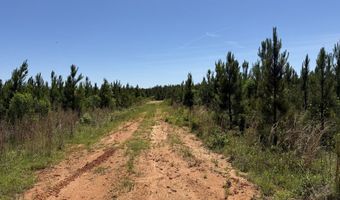 county road 222, Abbeville, AL 36310