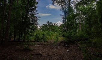 105 Dunwoody Pl, Blythewood, SC 29016