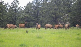 TBD Old Flowers Road, Bellvue, CO 80512