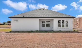 433 Serg Loop, Alamo, TX 78516