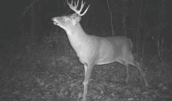Simons Rd, Alma, WI 54610