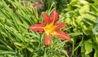 5 S Windsor Dr, Arlington Heights, IL 60004