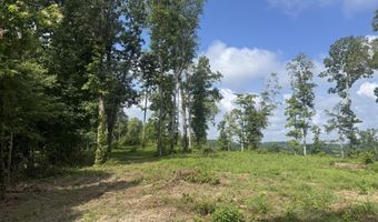 Tract 1 Mill Creek Rd, Andersonville, TN 37705