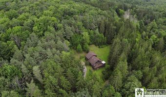 3220 Mcclure Hollow Rd, Allegany, NY 14706