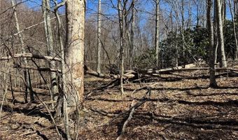 Lot # 70 Tall Tree Lane, Banner Elk, NC 28604