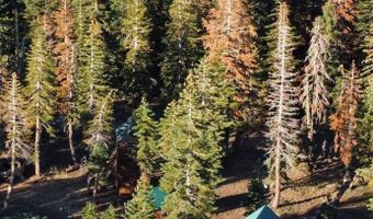 60 Liberty Rd, Arnold, CA 95223
