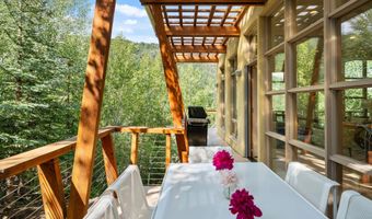 250 Mountain Laurel Dr B, Aspen, CO 81611