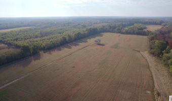 Holloway Landing Road, Barlow, KY 42024
