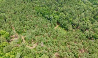Fox Paw Court, Branchville, SC 29432