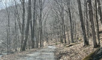 0 TBD Elleber Sods Rd, Bartow, WV 24920