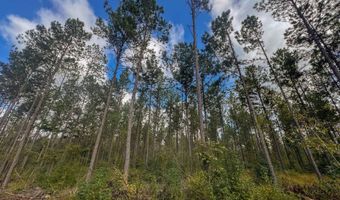 0 Pisgah Rd 4, Brandon, MS 39047