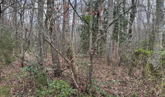 Honey Creek Loop Rd, Allardt, TN 38504