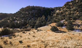 000 County Road 40.2 Poitry Canyon Ranch, Branson, CO 81027