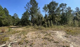 0 John S Horton, Adrian, GA 31002