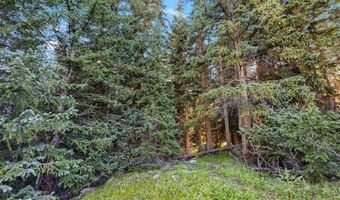 102 SILVERHEELS Rd, Blue River, CO 80424